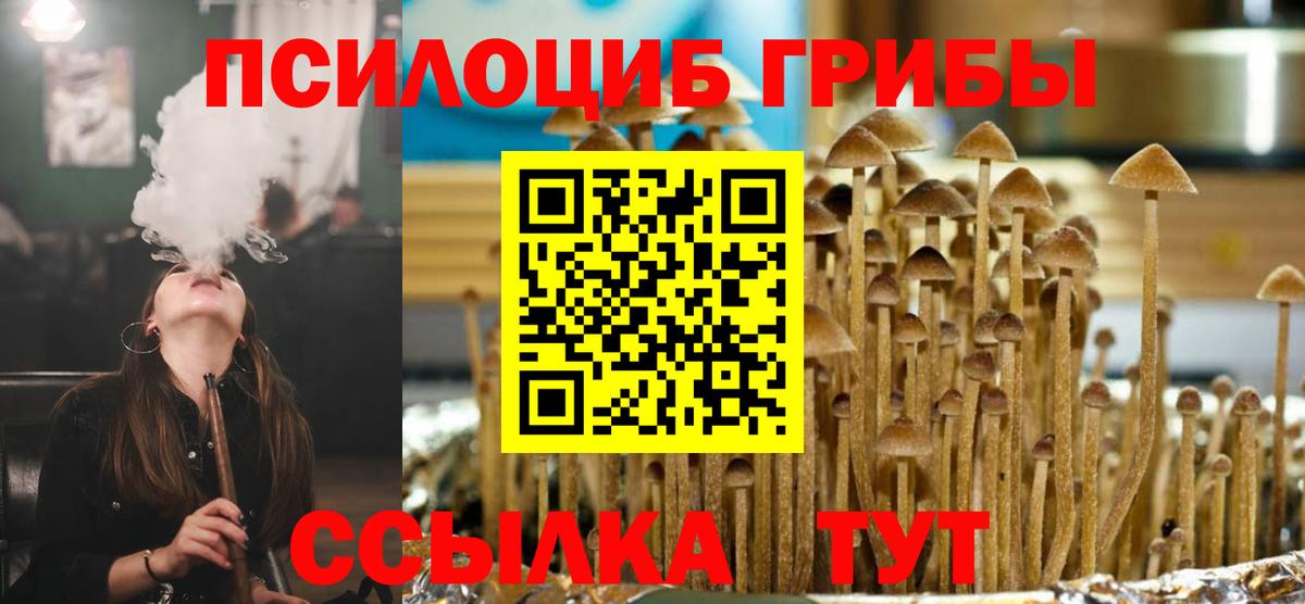 Псилоцибиновые грибы мицелий Темрюк