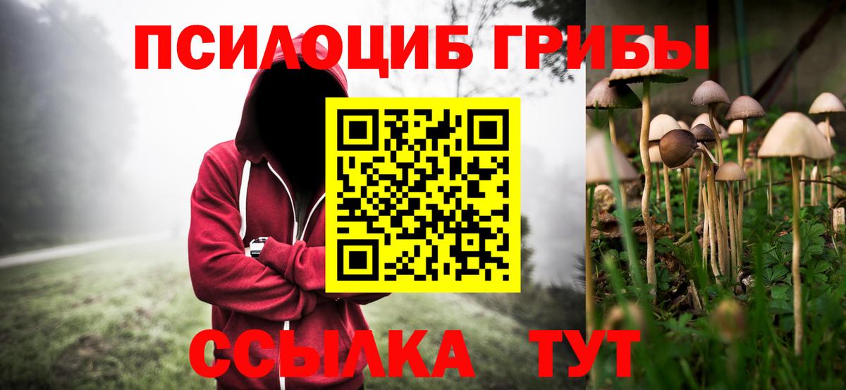 Темрюк  Галлюциногенные грибы Psilocybe  наркота  Вход с VPN 